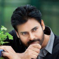 Panjaa Movie New Wallpapers | Picture 110937